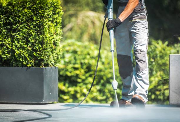 Best Graffiti Removal  in Ravensworth, VA