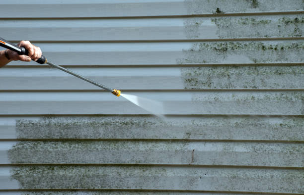 Best Sidewalk and Walkway Cleaning  in Ravensworth, VA